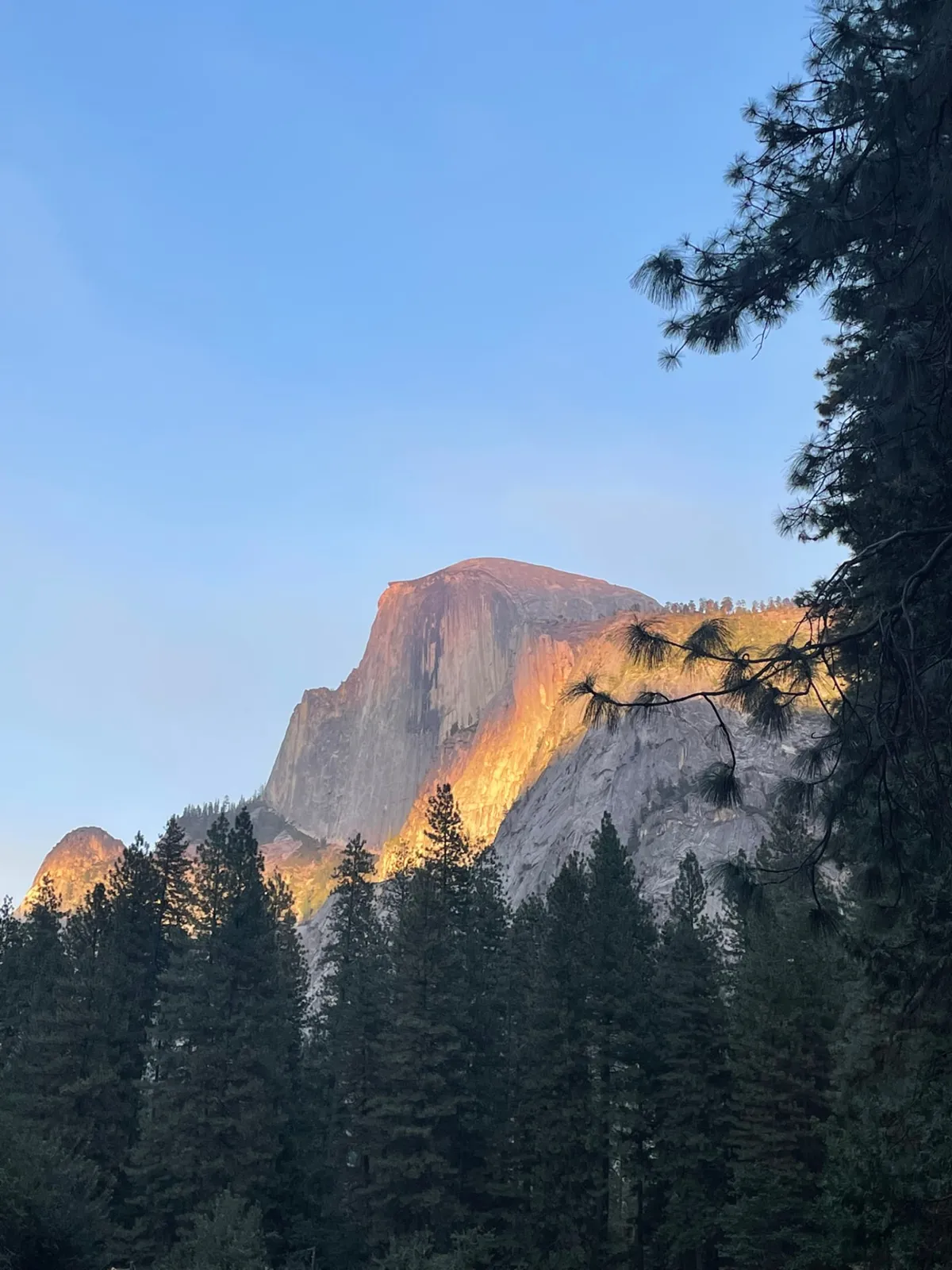 Half Dome seen from the trail