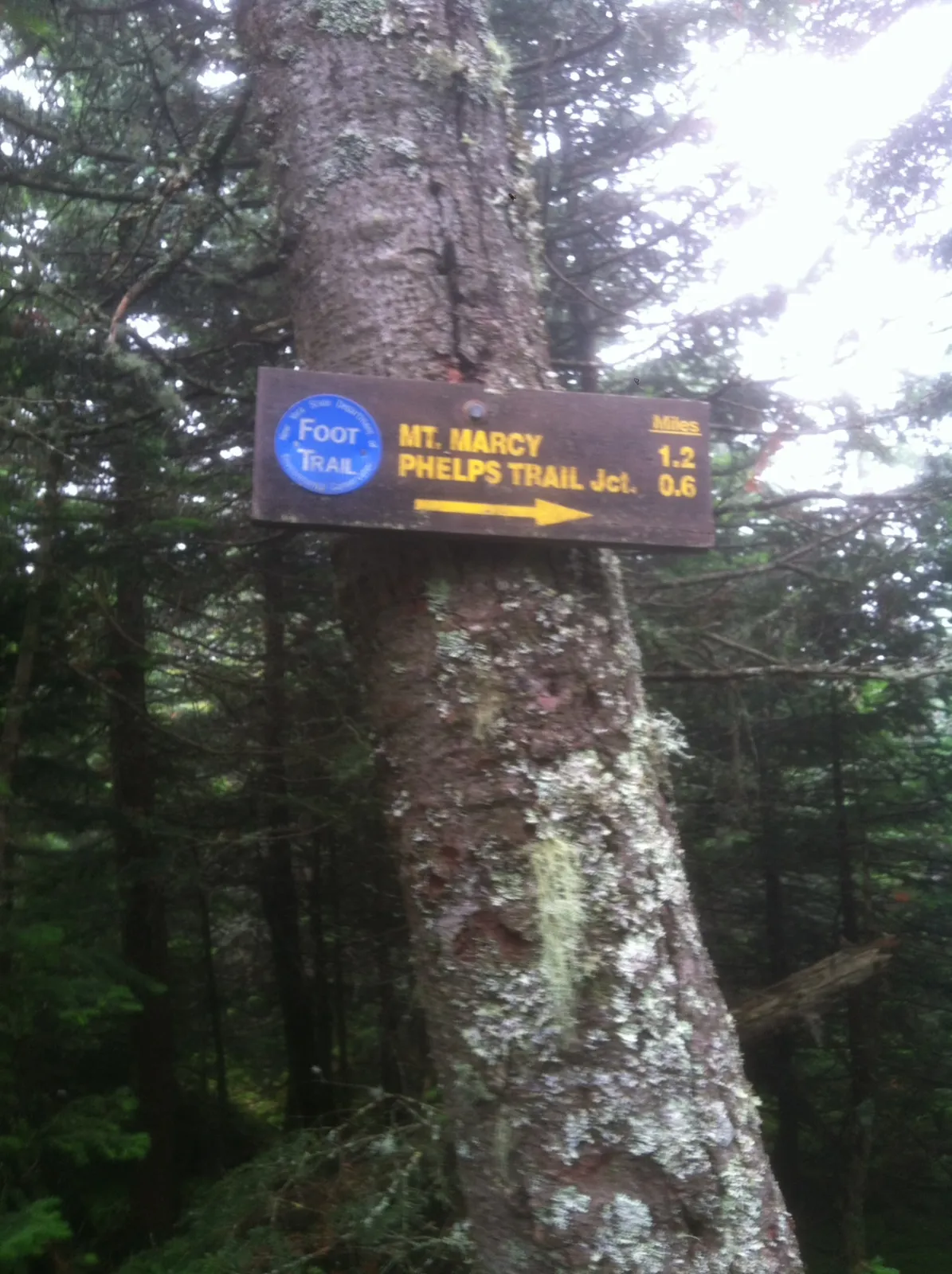 The trail to Mount Marcy